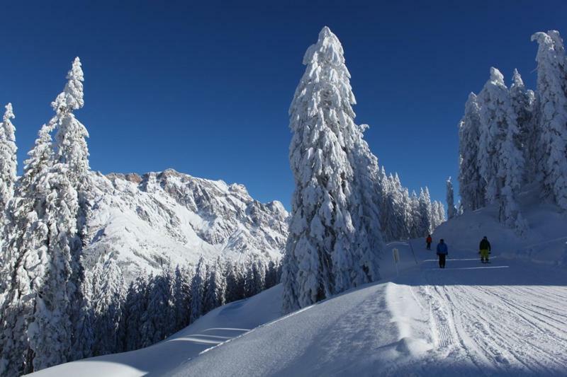 Am Berg 34 Appartement Maria Alm am Steinernen Meer Buitenkant foto